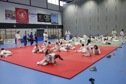 JUDO-JUGUETES 1
