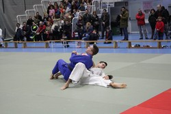 JUDO-JUGUETES 2