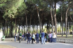 Visita guiada FINCA LIANA 5