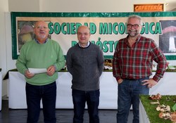 Concurso foto setas 1