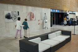 Jornadas Lactancia Materna 5