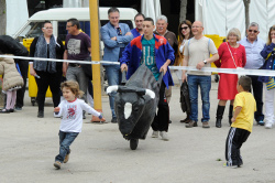 MINIS ENCIERROS 074p