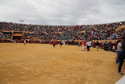 13 septiembre 2015 Encierro 5