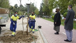 mejora y reacondicionamiento 0