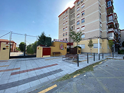 árboles Fco Javier Sauquillo 2 p