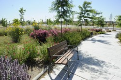 El Gobierno Municipal aprueba un nuevo proyecto de ajardinamiento