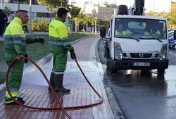 visita servicio especial de limpieza 1