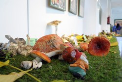 Jornadas Micológicas 3