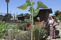 Visita Huertos municipales ecologicos 2