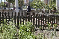 Visita Huertos municipales ecologicos 3