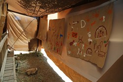 Visita a las Colonias de Verano (medio ambiente) 14