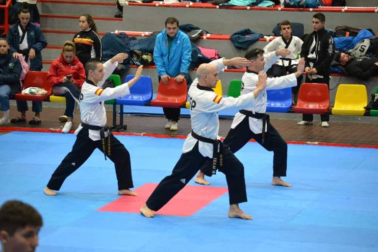 XI Open de Madrid de Taekwondo 2