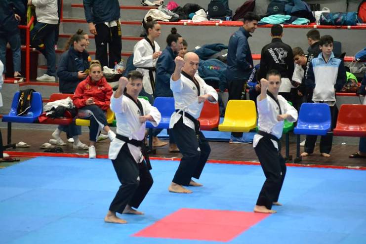 XI Open de Madrid de Taekwondo 3