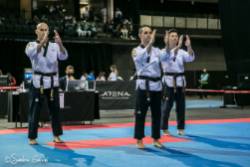 Campeonato del Mundo de taekwondo