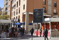 Fotos Mercadillo Navidad Arbol Pradillo_2 p