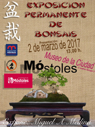 CARTEL exposicion de bonsais peq