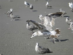 Expo Javier Benavides 4