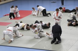 Judo en familia 1