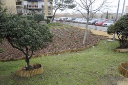 Jardines interbloques calle Magallanes 5