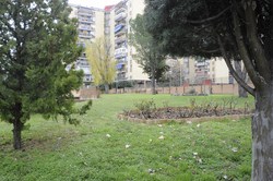 Jardines interbloques calle Magallanes 6
