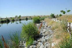 PARQUE Nelson Mandela 1