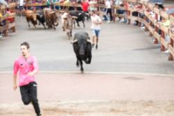Primer encierro de las Fiestas Patronales de Móstoles 2022 (2)