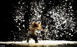 Brea y Plumas Principal