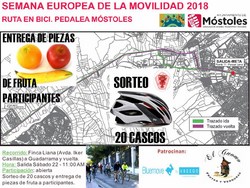 Cartel Ruta
