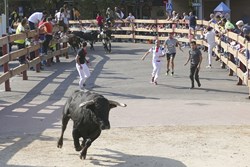 Encierros 1