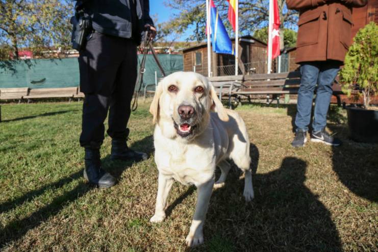 visita unidad canina polica local perros (16)