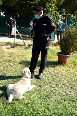 Unidad Canina de la Policía Municipal de Móstoles 6