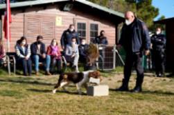 Exhibición canina Grupo AMAS (2)