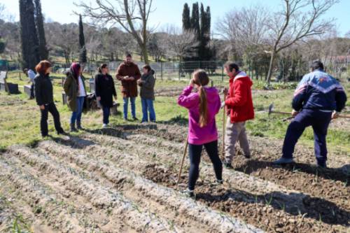 VISITA AGROLAB VIVERO EL SOTO_18