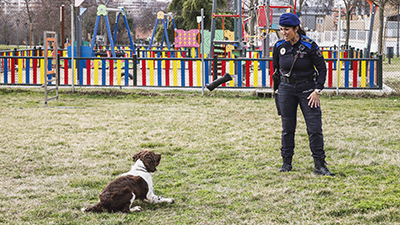 destacada Exhibición de la Unidad Canina de Policía Municipal (2) copia