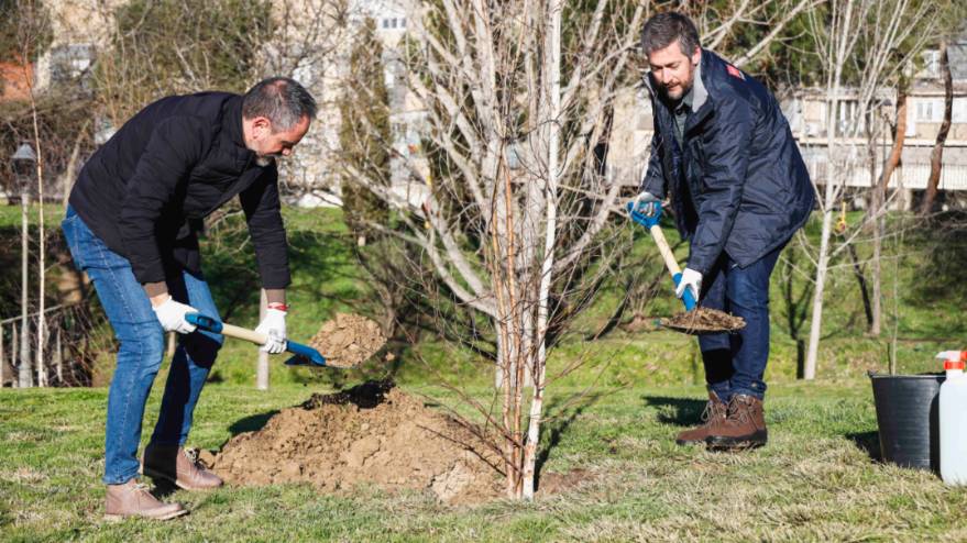 Plantación de arbolado de Prado Ovejero a cargo del PIR (5)