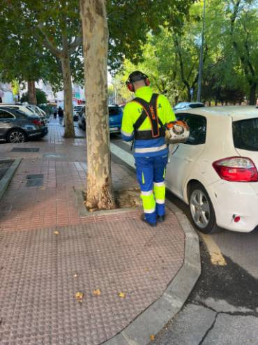 Continúa el plan intensivo de limpieza en las zonas de Cerro Prieto, Las Lomas y Nazaret (4)