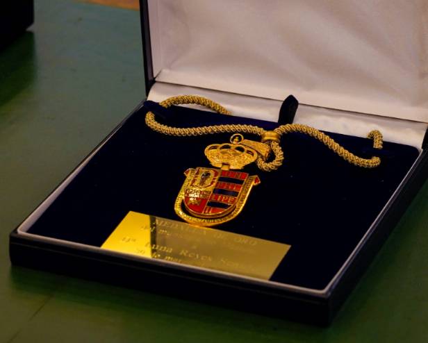 El Ayuntamiento de Móstoles entrega la Medalla de Oro de la ciudad a Luna Reyes (9)