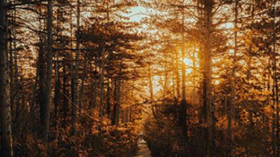 destacada Actividades con adolescentes copia