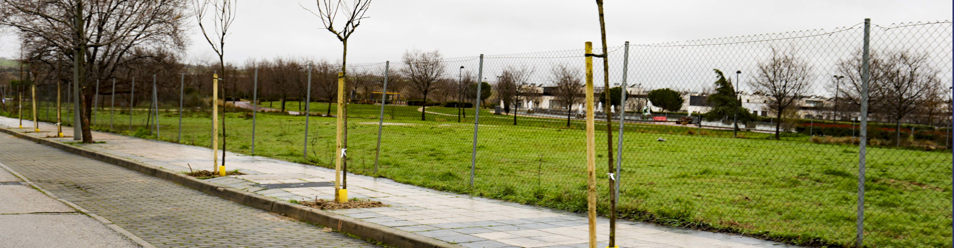 slider El Ayuntamiento de Móstoles plantará más de 1.000 árboles en el PAU-4 (4)