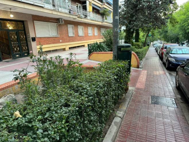 Plan de limpieza intensiva barrio a barrio (3)