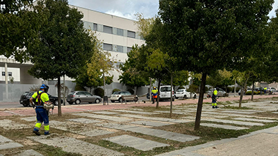 destacada Refuerzo de la limpieza en el PAU-4 dentro del plan intensivo barrio a barrio (6) copia