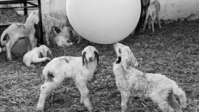 destacada Exposición Luis Mendia copia