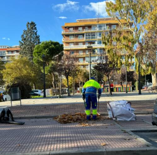 Comienza la campaña de recogida de hojas en la vía pública en Móstoles (2)