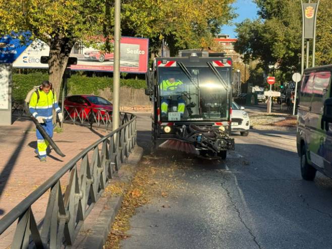Comienza la campaña de recogida de hojas en la vía pública en Móstoles (4)