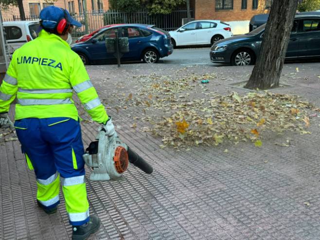 Comienza la campaña de recogida de hojas en la vía pública en Móstoles (5)