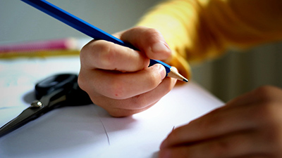 destacada ecolarización