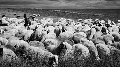 destacada Exposición Pastores ayer y hoy de Luis Mendia (2) copia