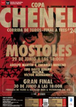 Cartel Copa Chenel Mostoles Final IMP