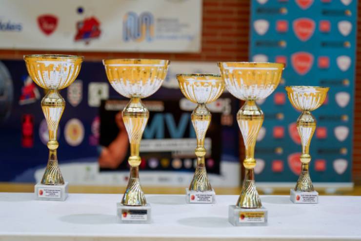 Móstoles celebró el XLVIII Campeonato Nacional de Balonmano Veteranos (4)