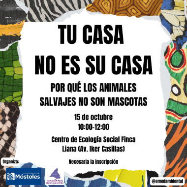 Tu casa no es su casa-post